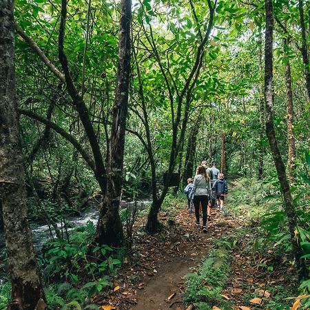 El Silencio Lodge & Spa Costa Rica Toro Amarillo Екстериор снимка